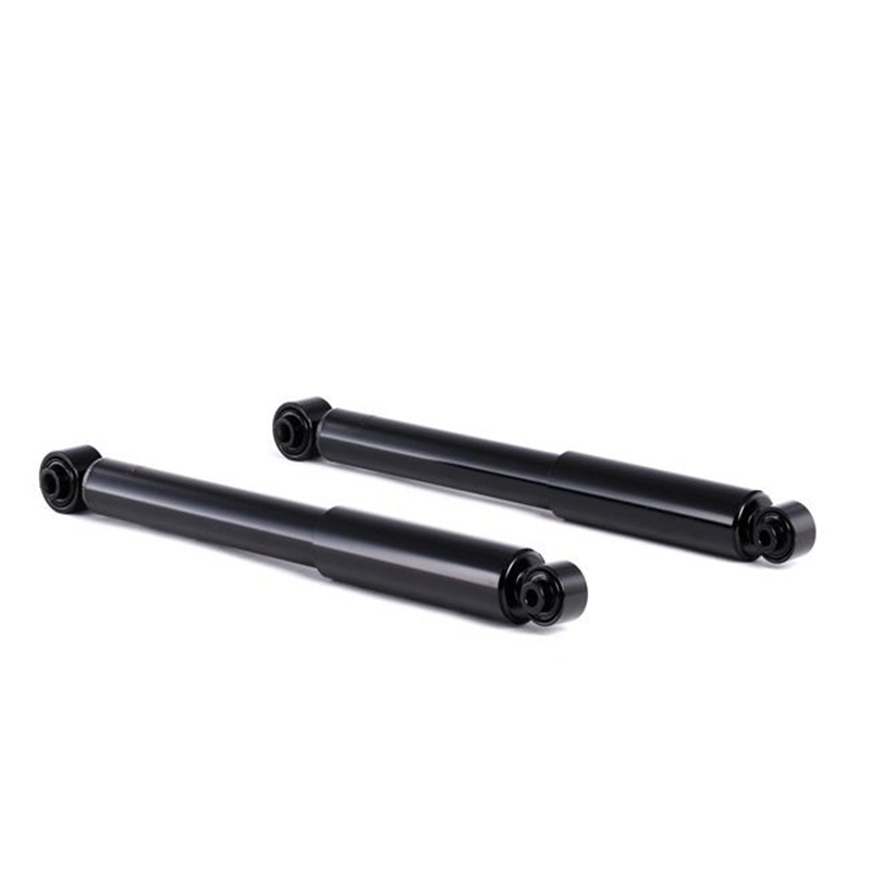 AMMORTIZZATORE Peugeot 1007 Posteriore